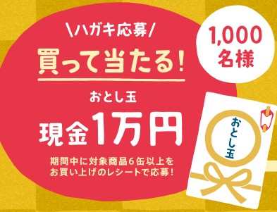 サントリーの「内臓脂肪を、おとし玉 Wチャンスキャンペーン