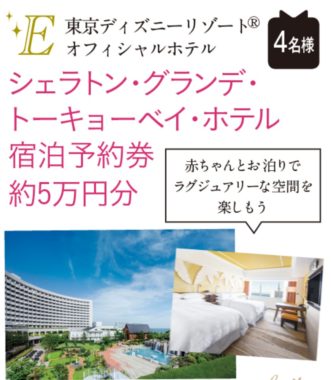 ディズニーホテル宿泊券 / 電動アシスト自転車 / dysonヘアードライヤー 他