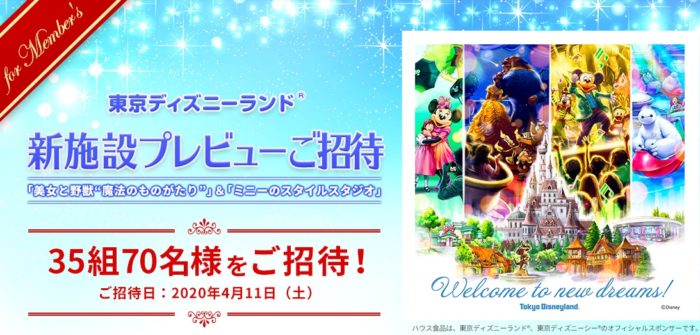 ディズニー パークチケット+新アトラクションチケット