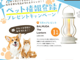 ペット情報登録プレゼントキャンペーン | Purina