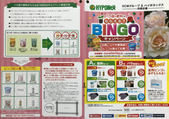 【ハガキ懸賞の旅】～DCMカーマ編～ 2020年3月分