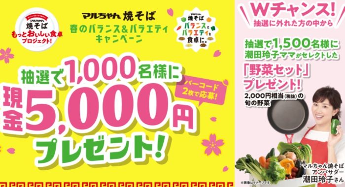 現金5,000円 / 野菜セット2,000円相当