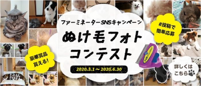 マグカップ / ファーミネーターの スリッカー＆コームセット