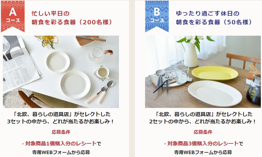 定番 working 懸賞 お皿 食器 - www.global-journeys.com