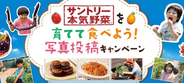 サントリーオリジナルサーモボトル