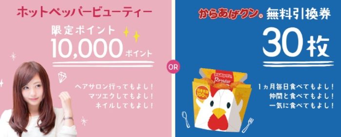 ホットペッパービューティー限定ポイント10,000ポイント / からあげクン無料引換券
