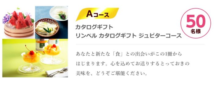 カタログギフト / 大人のふわふわかき氷器 / 31アイスギフト券500円分