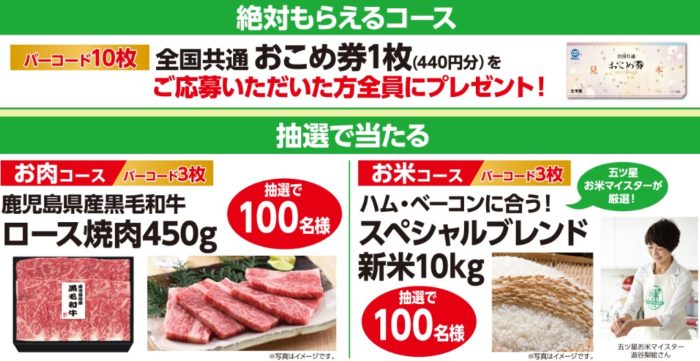 鹿児島県産黒毛和牛ロース焼き肉 / スペシャルブレンド新米10kg 他