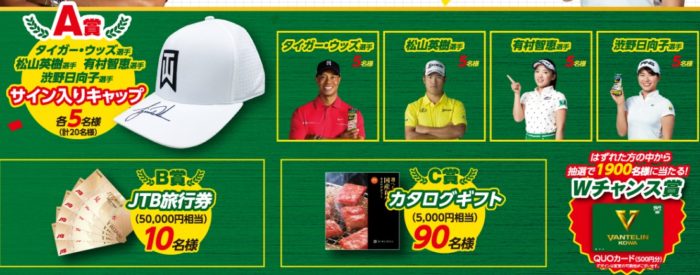 旅行券50,000円相当 / カタログギフト / QUOカード500円分 他