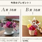 メールマガジン読者様限定！花クイズプレゼントキャンペーン｜日比谷花壇｜フラワーギフト通販