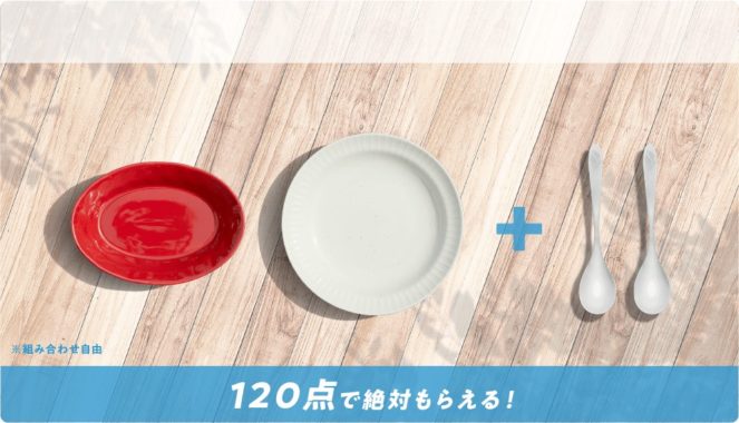 選べるカレー皿2枚+スプーン2本 / 選べるカレー厳選食材5,000円分 他