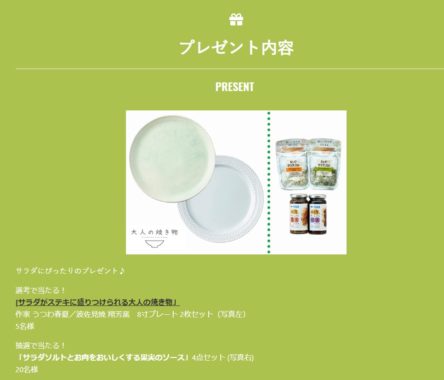 波佐見焼 8寸プレート 2枚セット / サラダソルトとお肉をおいしくする果実のソースセット
