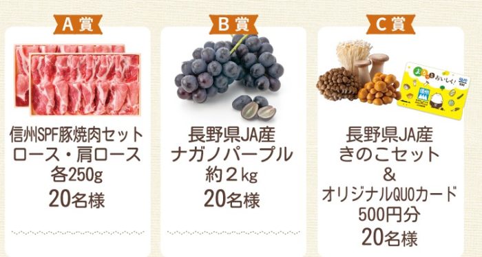 信州SPF豚焼肉セット / ナガノパープル約2kg / きのこセット＆QUOカード500円分
