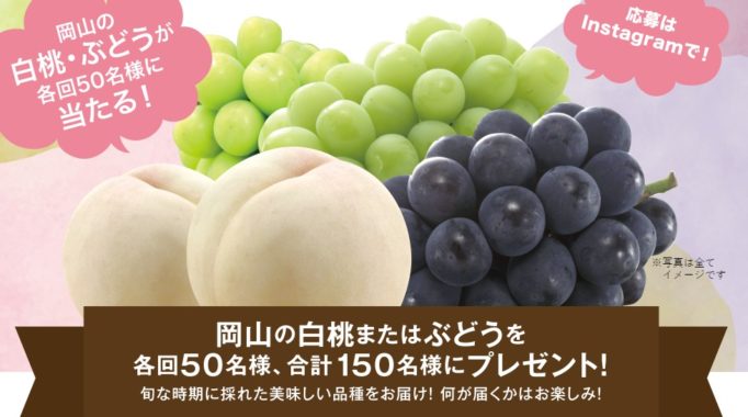 岡山の白桃 / 岡山のぶどう