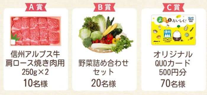 信州アルプス牛 肩ロース焼き肉用 / 野菜詰め合わせ / QUOカード500円分