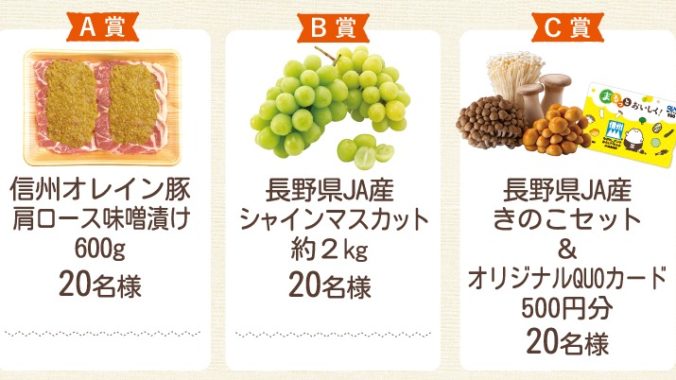 信州オレイン豚肩ロース味噌漬け / シャインマスカット 2kg 他