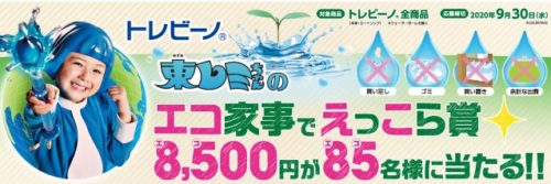 トレビーノ®東レミちゃんの エコ家事でえっこら賞