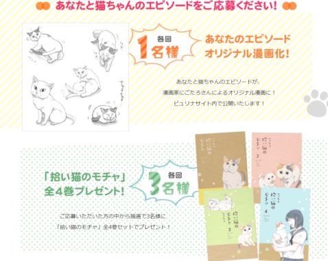 あなたと猫ちゃんのエピソード漫画 / 拾い猫のモチャ 全4巻