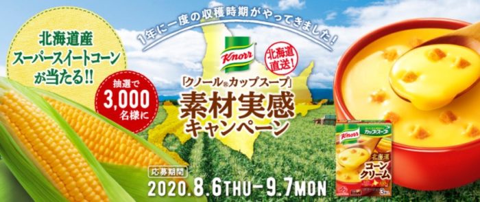 北海道産とうもろこし4本セット
