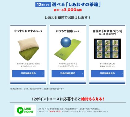 LINEポイント30ポイント分 / 選べる電子マネーギフト500円分 他