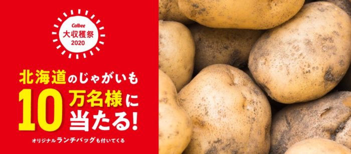 北海道のじゃがいも 2kg＋オリジナルランチバッグ 1個