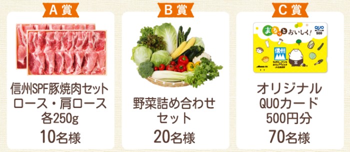 信州SPF豚焼肉セット / 野菜詰め合わせセット / QUOカード500円分