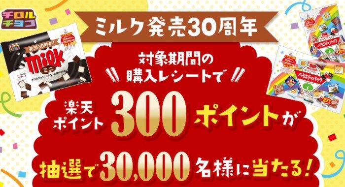 楽天スーパーポイント 300ポイント