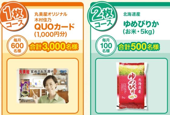 QUOカード1,000円分 / 北海道産 ゆめぴりか5kg 他