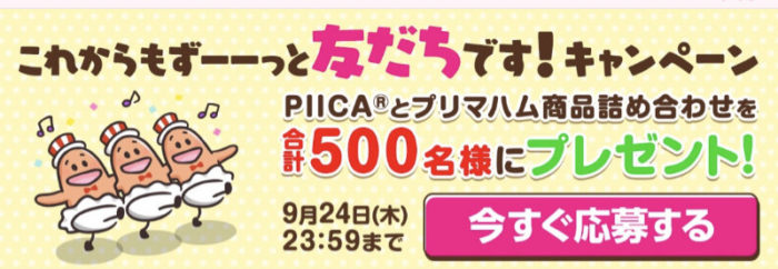 ソップリン PIICA パスケース＆プリマハム商品詰め合わせ 他