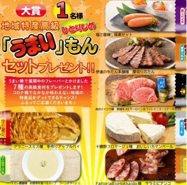 地域高級特産品セット / うまい棒約10年分 / 駄菓子詰め合わせ 他