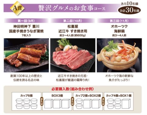 贅沢グルメ / お抹茶体験セット / コタキホワイト 2kg 他