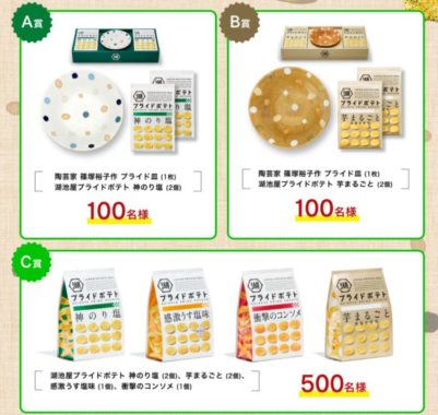 陶芸家 篠塚裕子作 プライド皿1枚+湖池屋プライドポテト 神のり塩2個 他