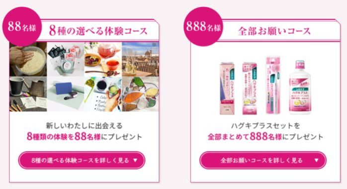 8種の選べる体験コース / ハグキプラスセット