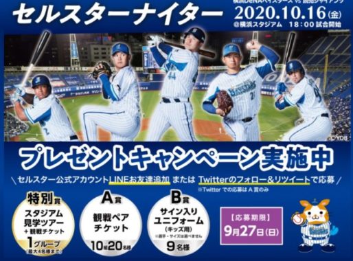 スタジアム見学ツアー＋観戦チケッ / 観戦ペアチケット 他