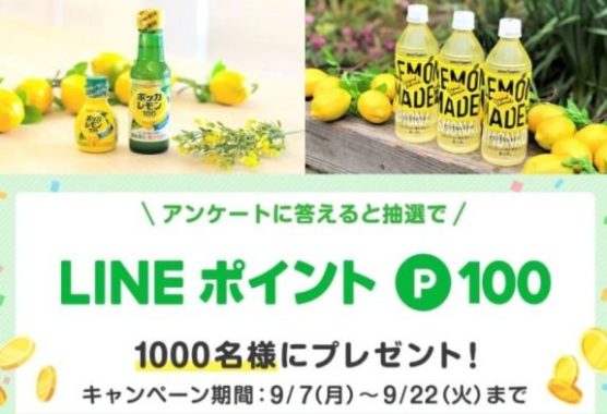 LINEポイント100ポイント
