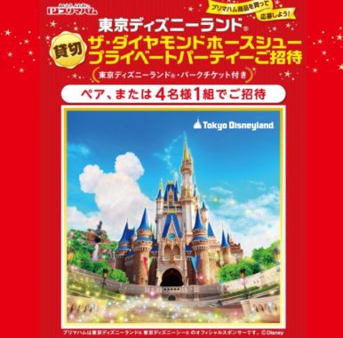プライベートパーティーご招待 ＆ 東京ディズニーランド パークチケット