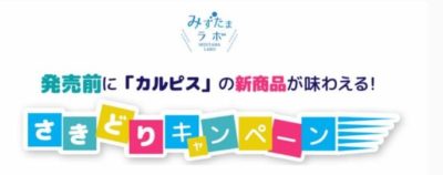 「『カルピス』さきどりキャンペーン」2020年10月 応募フォーム