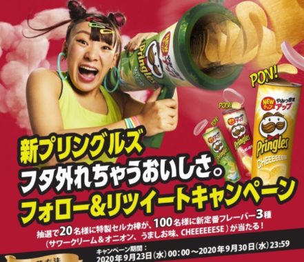 プリングルス新定番フレーバー3種 / 特製セルカ棒