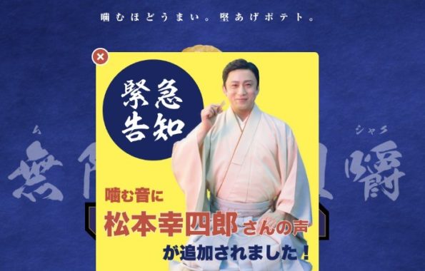 堅あげポテト詰め合わせ