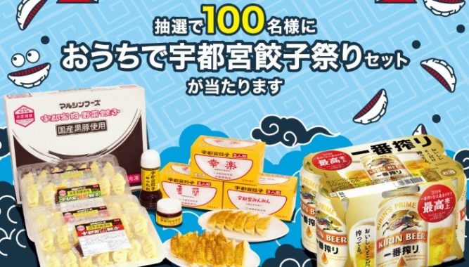 宇都宮餃子祭りセット