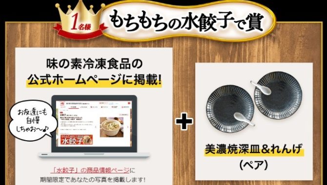 味の素冷凍食品公式HP掲載+美濃焼深皿＆れんげ 他
