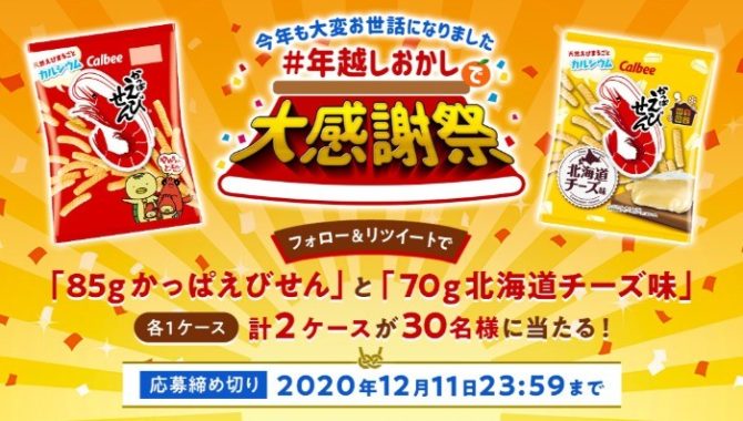 おかし企業合同企画 年越しおかしで大感謝祭キャンペーン 懸賞で生活する懸賞主婦