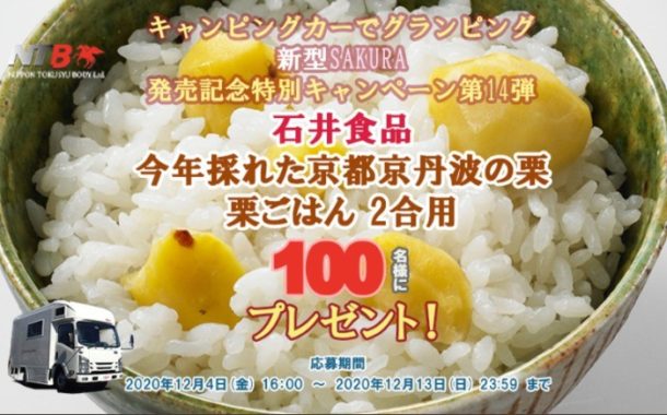 京都京丹波の栗 栗ご飯 2号用
