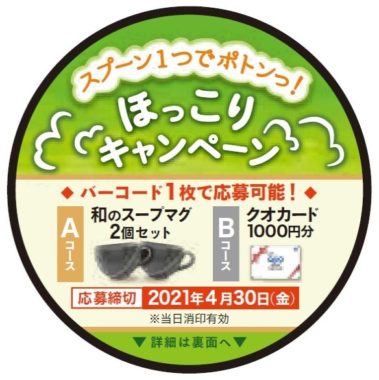 和のスープマグ / クオカード1,000円分