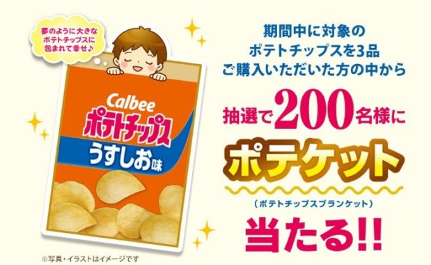 ポテトチップスブランケット
