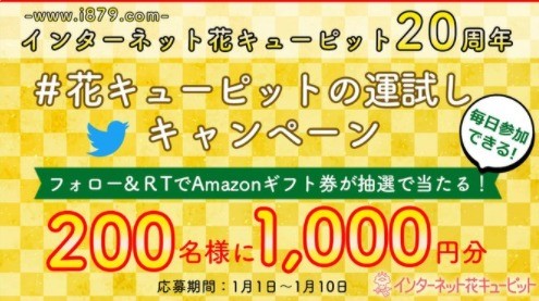 インターネット花キューピット-www.i879.com- 20周年記念！