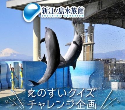 えのすい（新江ノ島水族館）クイズチャレンジ企画