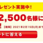 2,500名様に鼻セレブポケットティッシュが当たるアンケートキャンペーン☆