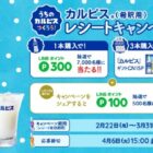 Wチャンスもアリ☆カルピスギフトやLINEポイントが当たるレシート懸賞！