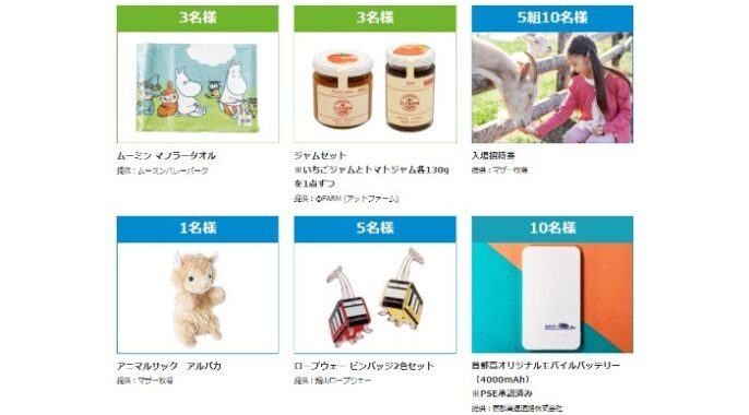 ドライブレコーダー / マザー牧場 入場招待券 ほか